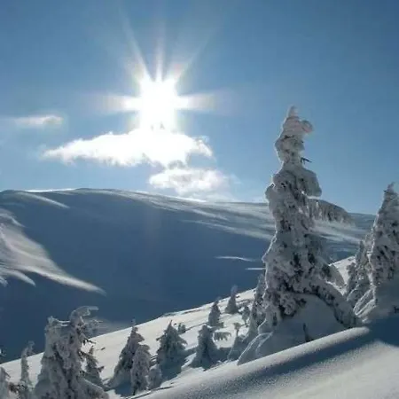 Tannheimer Tal Zöblen