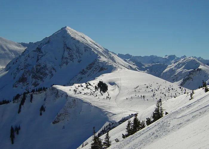 Tannheimer Tal Holiday home *