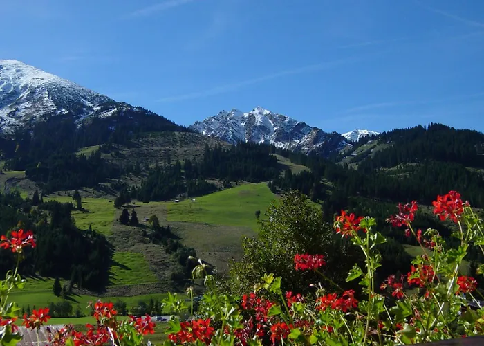 Tannheimer Tal Holiday home *