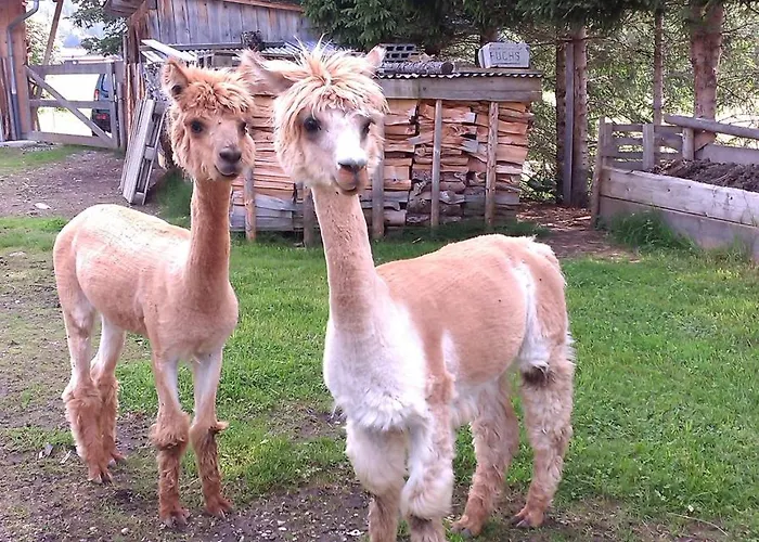 Tannheimer Tal Дом отдыха