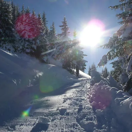 Tannheimer Tal Zöblen